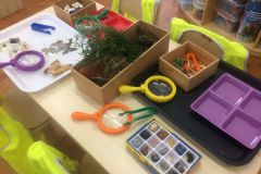 Preschool science