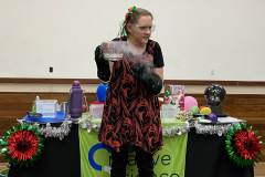 Christmas Science Show